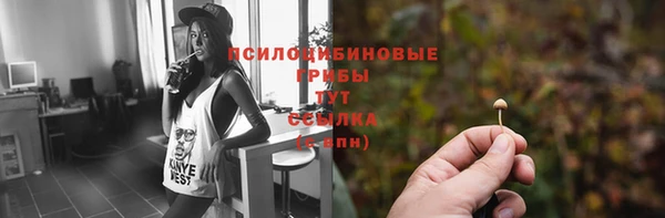 тгк Белокуриха